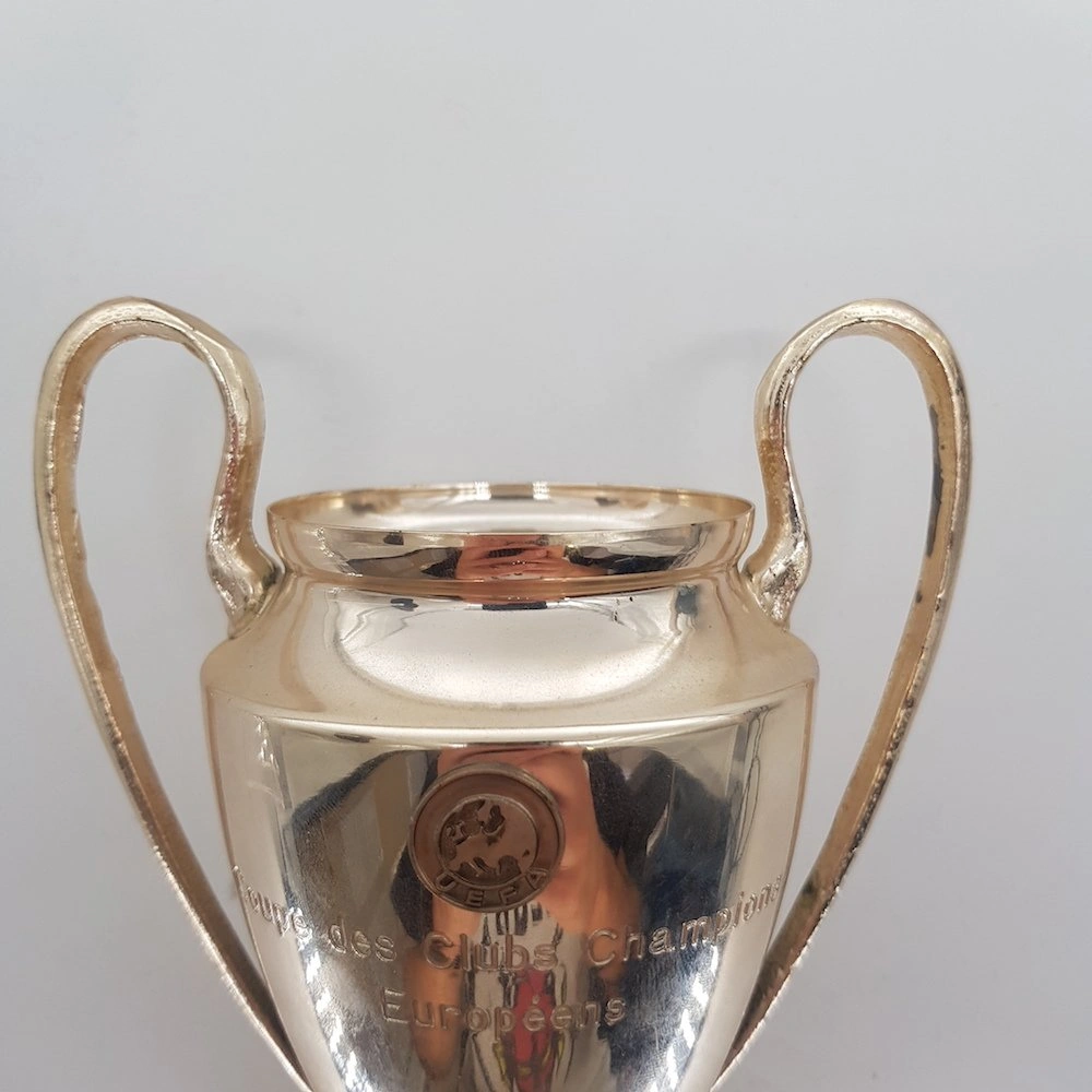 Champions cups サッカーカップ 719FPrmLf4L._UF1000,1000_QL80_.jpg