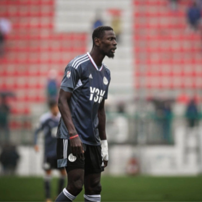 cover image of the auction item