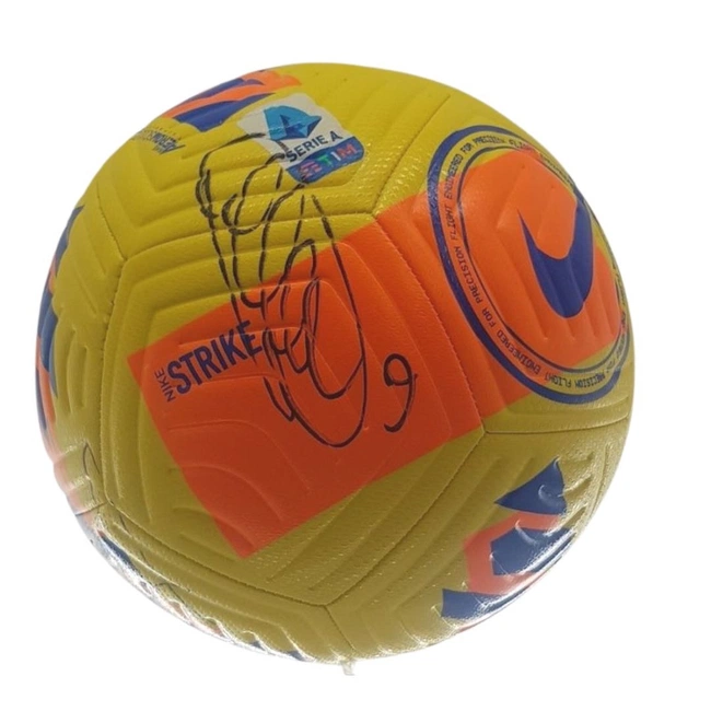 cover image of the auction item