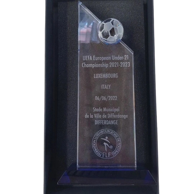 cover image of the auction item