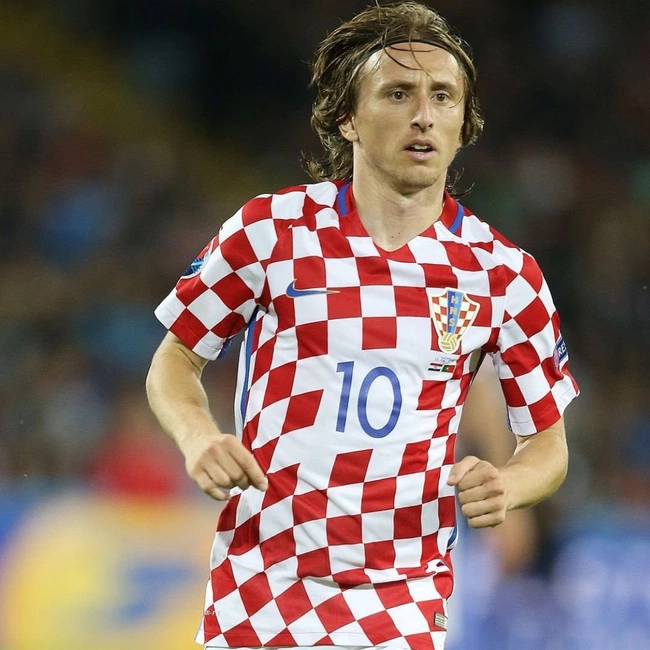 cover of the auction item