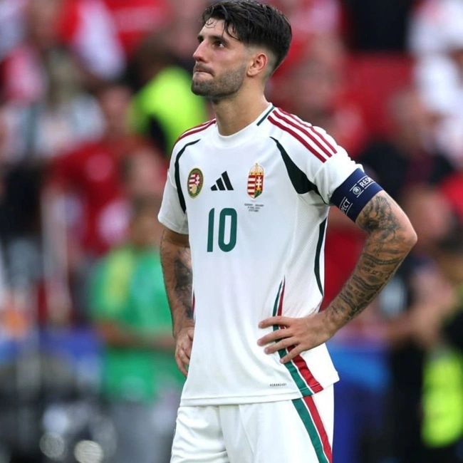 cover of the auction item