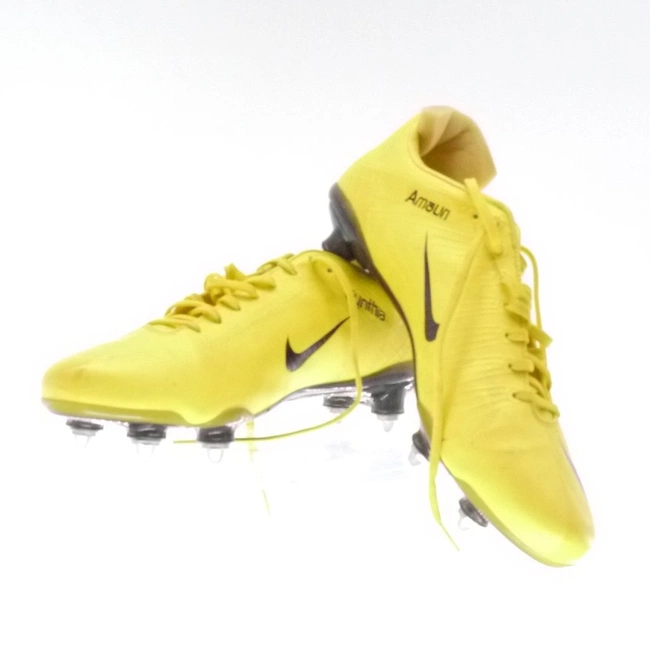 cover image of the auction item