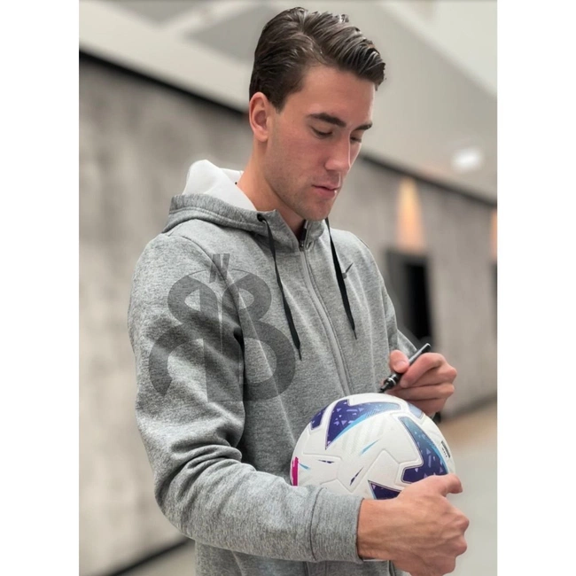 cover image of the auction item