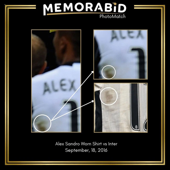 cover image of the auction item