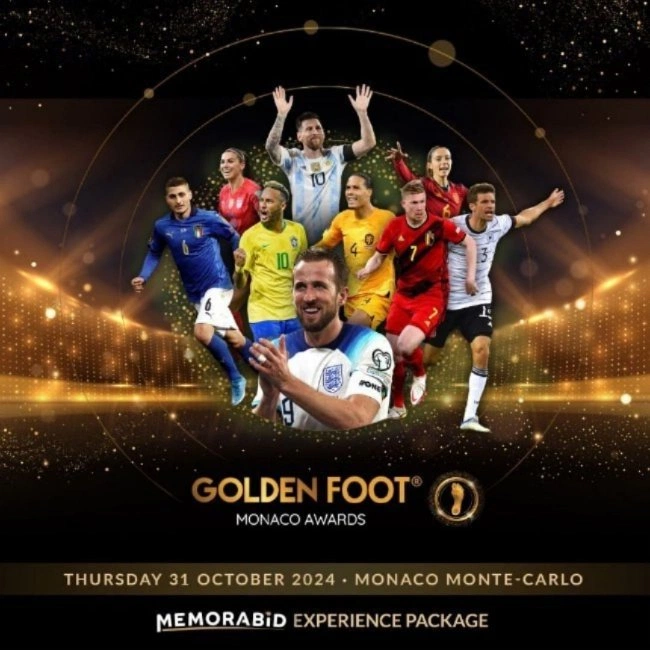 cover image of the auction item