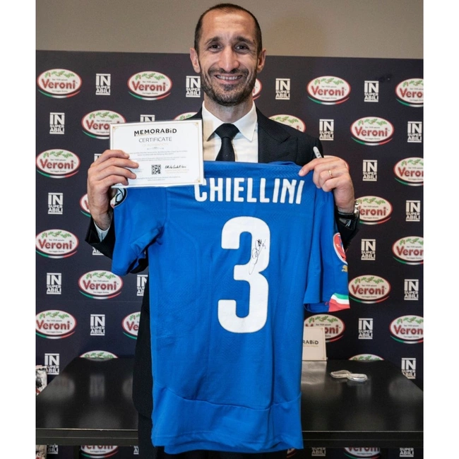 cover image of the auction item