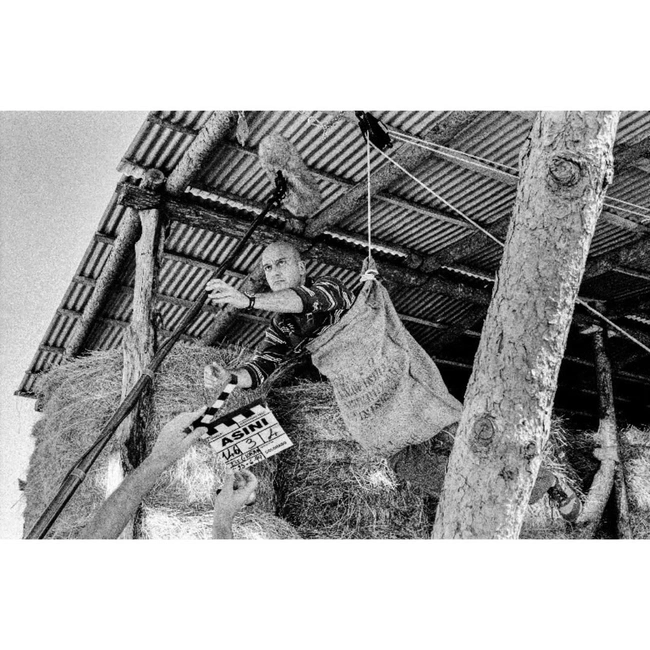 cover image of the auction item