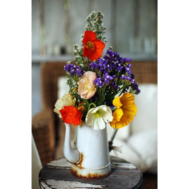 cover image of the auction item