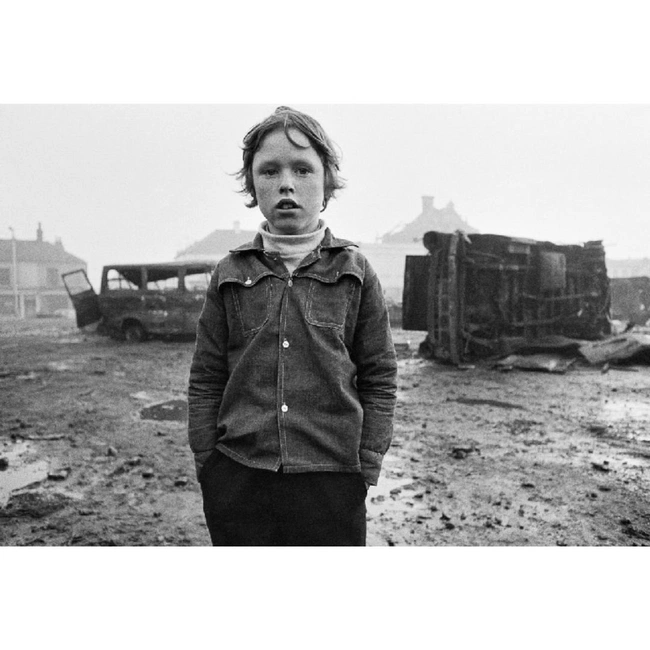 cover image of the auction item