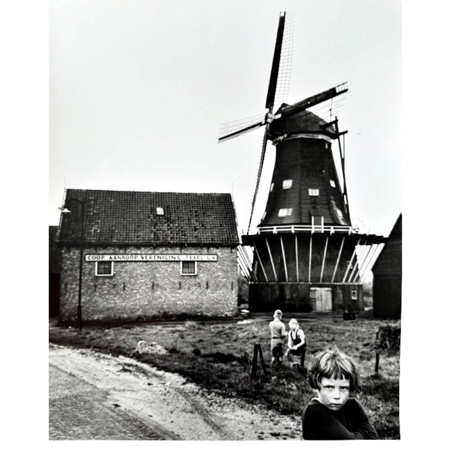 cover image of the auction item