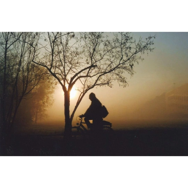 cover image of the auction item