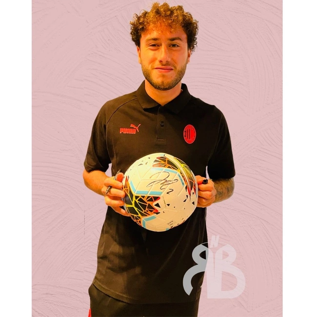 cover image of the auction item