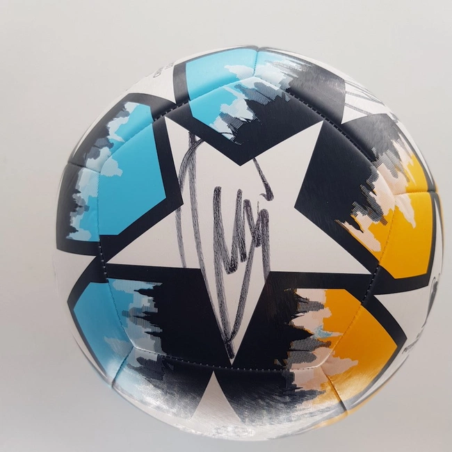 cover image of the auction item