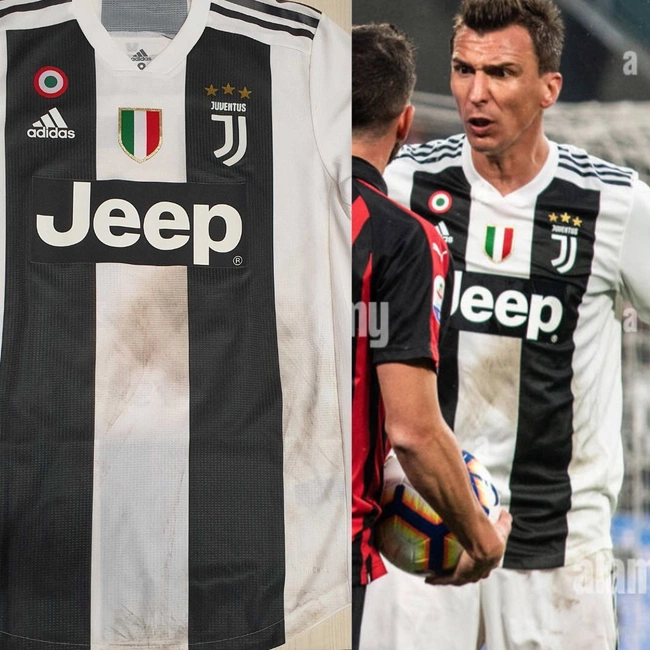 cover image of the auction item