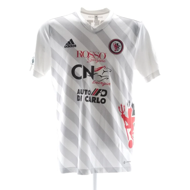 cover image of the auction item