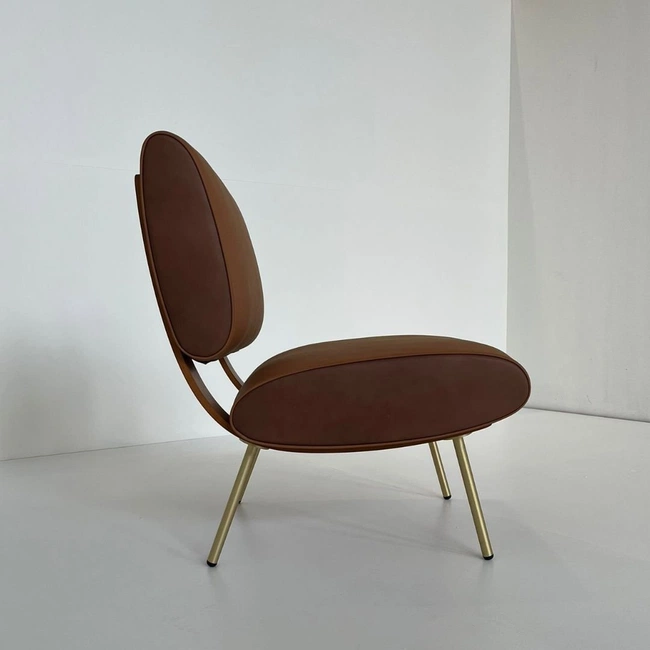 cover of the auction item