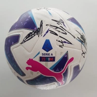 cover image of the auction item