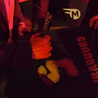cover image of the auction item