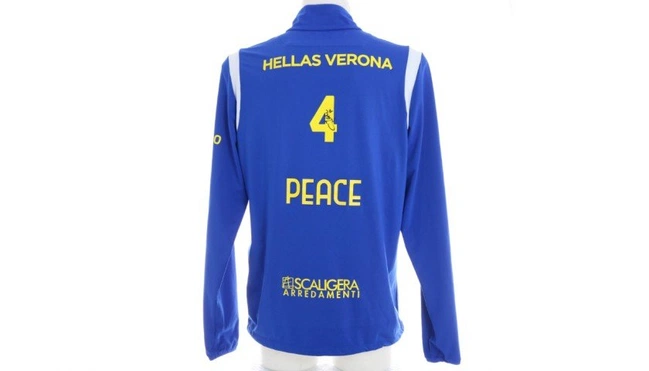 cover image of the auction item