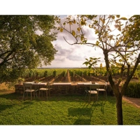 cover image of the auction item