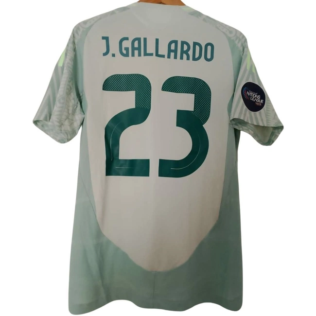 cover image of the auction item