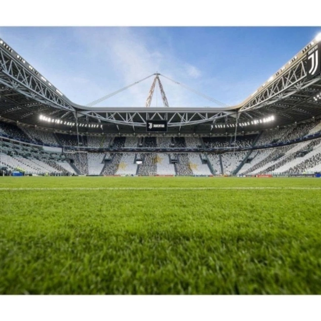 cover of the auction item