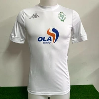 cover image of the auction item