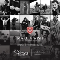 cover image of the auction item
