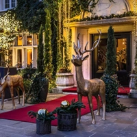 cover image of the auction item