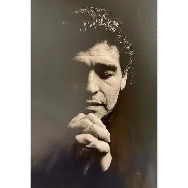 cover image of the auction item