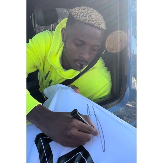 cover image of the auction item