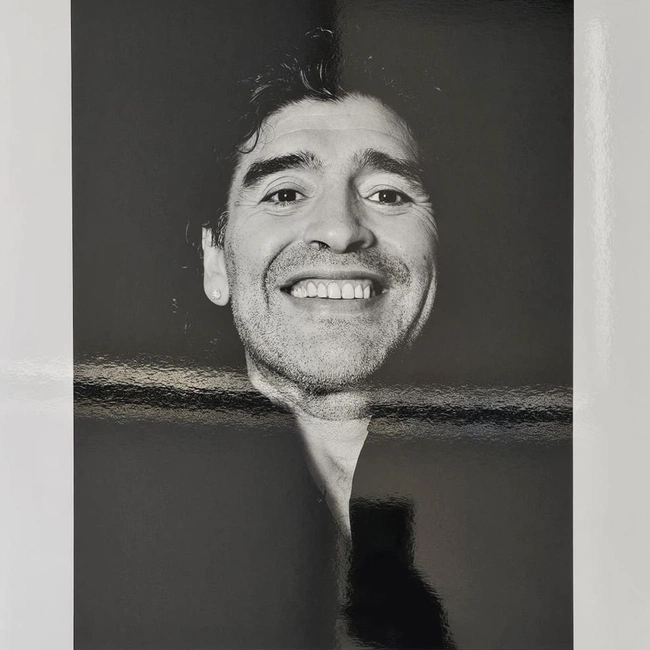 cover image of the auction item