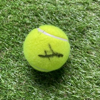 cover image of the auction item