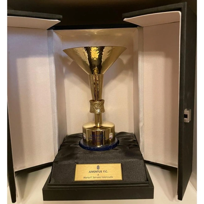 cover image of the auction item