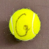 cover image of the auction item