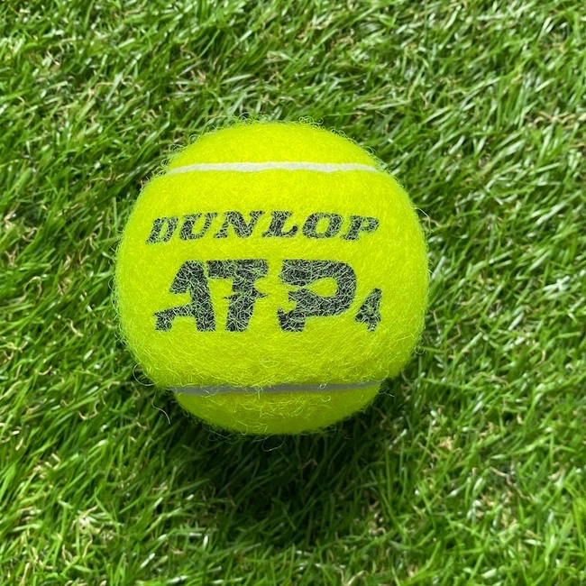 cover image of the auction item