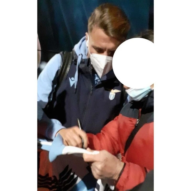 cover image of the auction item