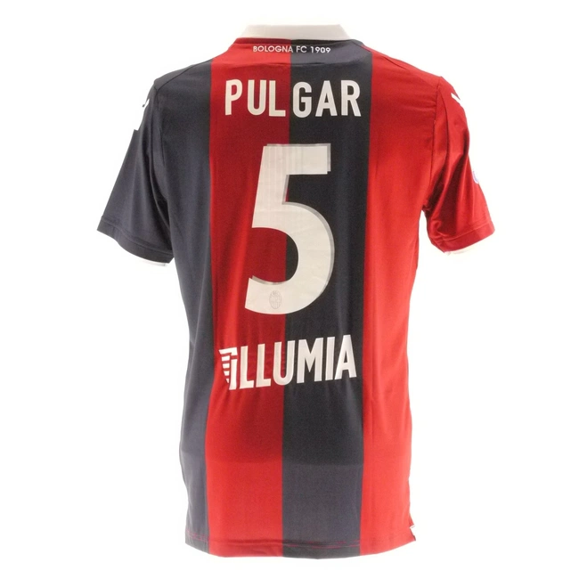 cover of the auction item