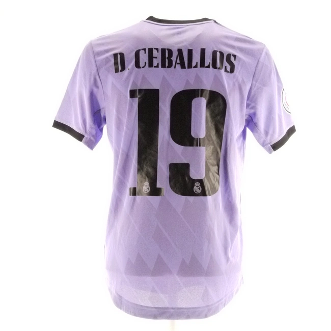 cover image of the auction item