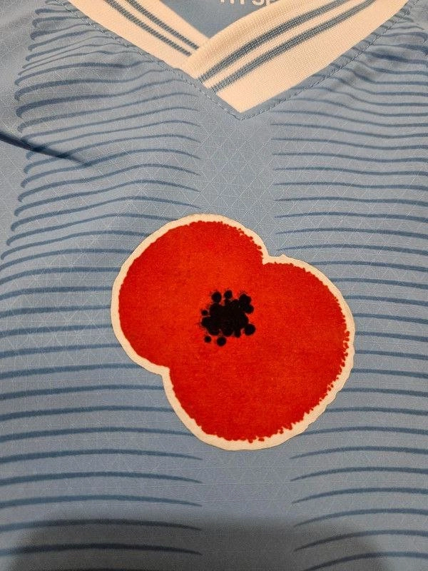 cover image of the auction item