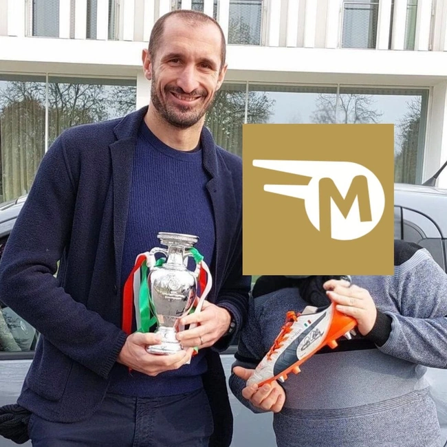 cover image of the auction item