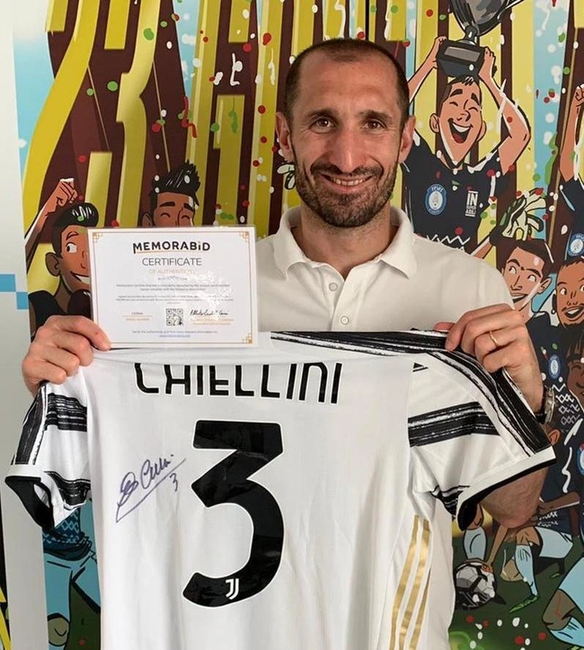 cover image of the auction item