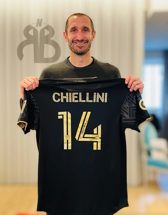 cover image of the auction item