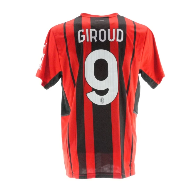 cover image of the auction item