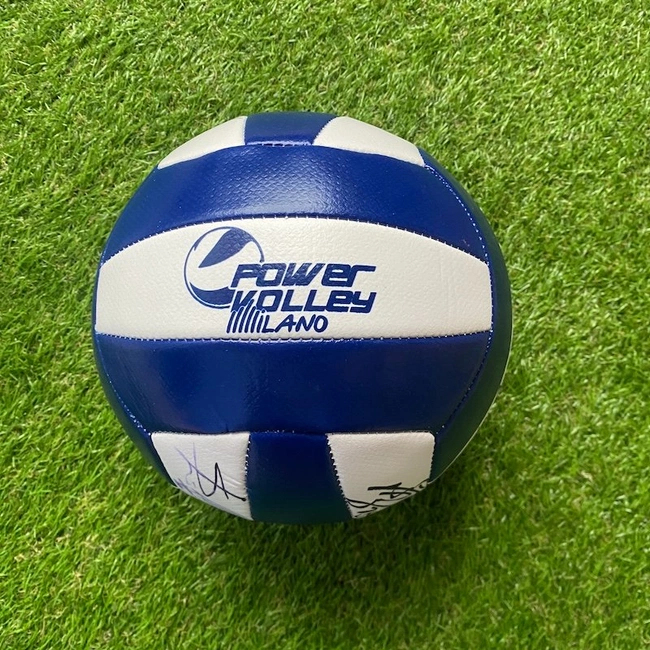 cover image of the auction item