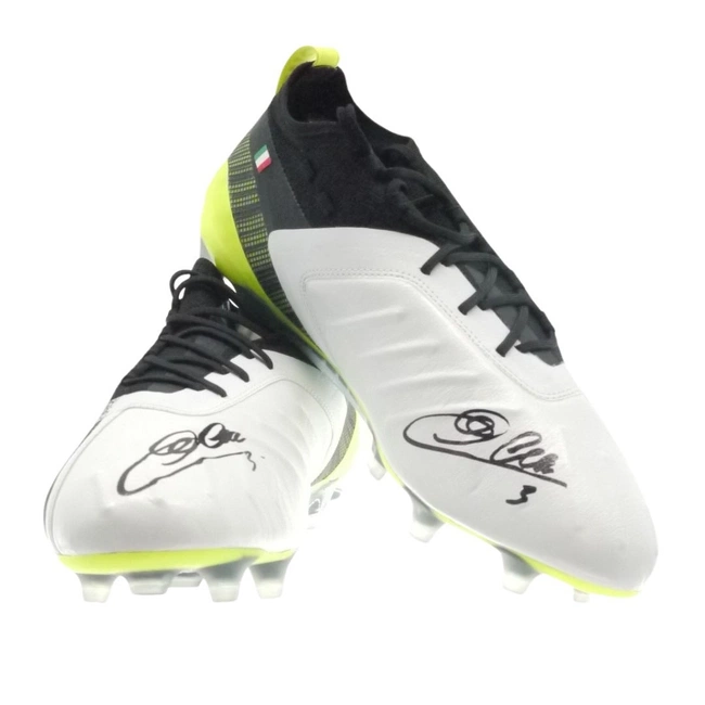 cover image of the auction item