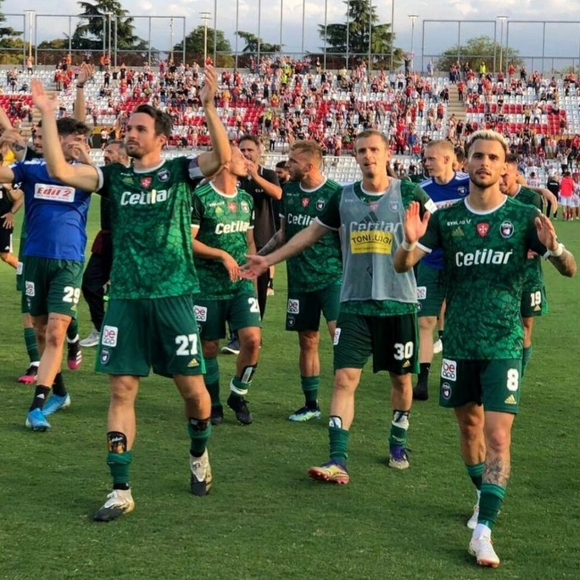 cover image of the auction item