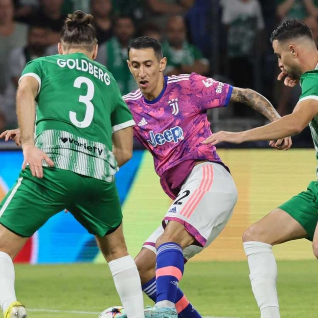 cover image of the auction item