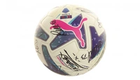 cover image of the auction item